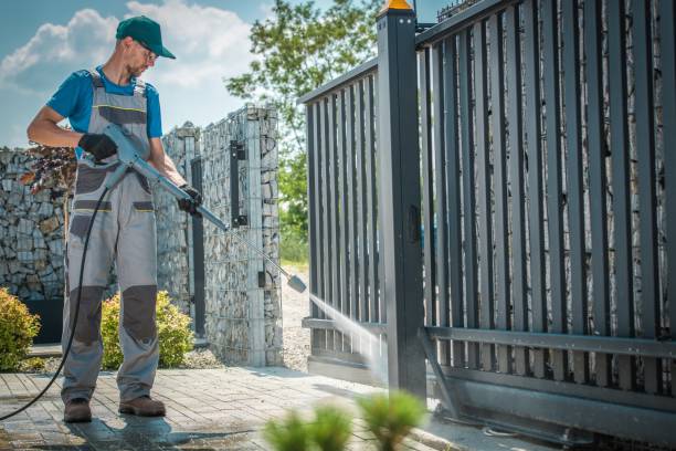 Best Solar Panel Cleaning  in Ives Estates, FL