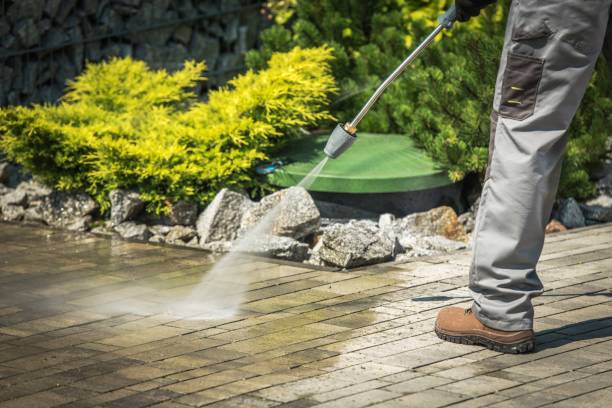 Best Rust Removal  in Ives Estates, FL